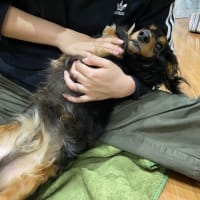 理解し難い太郎の行動
