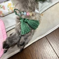 ☆彡ビリー