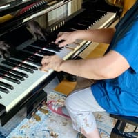 調律をしたら、演奏が大変身