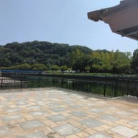 中央公園川向こうの公園)