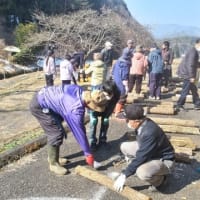 シイタケ駒打ち体験