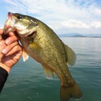 9月22日釣行　　北湖への癒し釣行