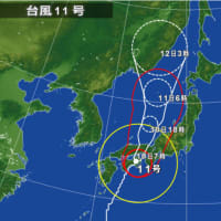 １４年８月１０日（日）　曇雨　台風１１号
