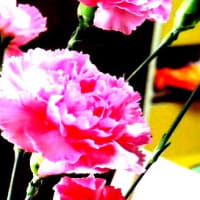 カウンターの花・ピント外れでした、