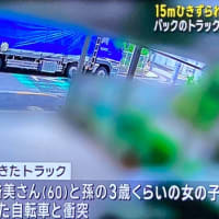 東京でクソ外道が碌に確認もせずに大型トラックでバックして、チャリの女性と女児を轢いて女性を⚫️害
