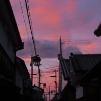 じないまちの夜明け　２０２５．６