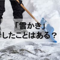 「雪かき」をしたことがありますか？