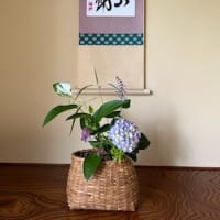 月に１度の「お茶の稽古」を！