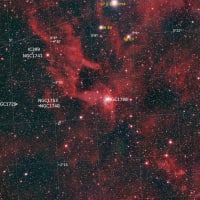 NGC 1788 反射星雲