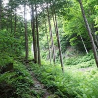 唐沢の滝