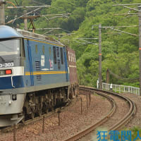 EF210303