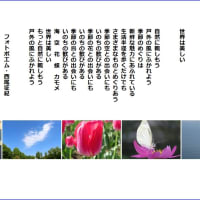 世界は美しい