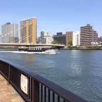隅田川散歩。