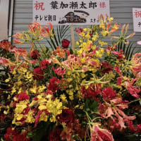観劇7（葉加瀬太郎オーケストラコンサート）