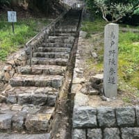 一条天皇皇后定子鳥戸野陵＊