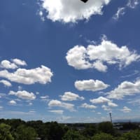 暑い七月ですね