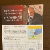 犬と猫との暮らし～AARJapan夏募金をほんの少し振込ました～