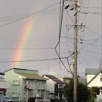 さくじつ