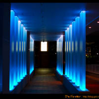 from Daiba: Blue Square