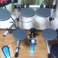 念願のＤＤ