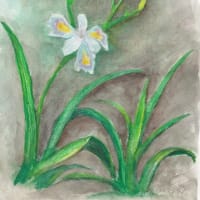 花見酒の季節に