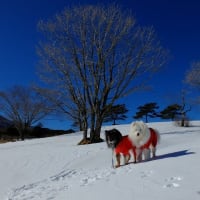 2018年振り返り