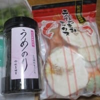 体調不良