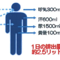 ドライマウス：最後が唾液？