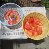 POMODORO　Cuoｒ di Bueの干しトマト