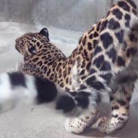 20250324　いしかわ動物園