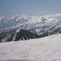 5月13日、青田南葉山に登りました。