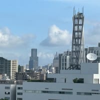 2025年7月13日(日) 映画「F1/エフワン」を観る
