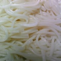 2025・7・6（日）…はたけなか製麺㈱「ＺＥＲＯ　温麺　無塩」