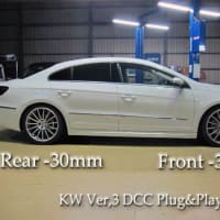 VW CC + Kw_DDC + more customize.