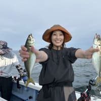 ７月 １２日 (土) 💫潮早く苦戦でした🌊午前㊗️４９匹❗次４５匹❗午後㊗️４３匹❗ポツバリですw💥
