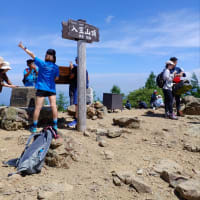 スズランの花咲く入笠山へ