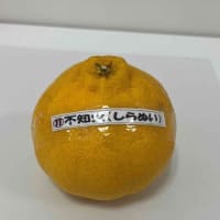 おすすめ全体会の「中晩柑学習会」のご報告です。