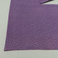 絽江戸小紋単衣（作家物）　汗による全体ヤケ　水洗い・しみ抜き・色掛け（色修正・染色補正・染直し・部分染・地直し・ヤケ直し）正絹素材