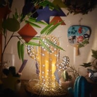 サボテンスタンド～2025年7月
