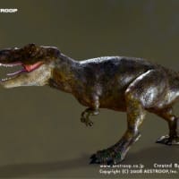 T-Rex （ティラノサウルス） 6
