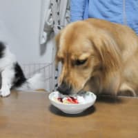 誕生祝他