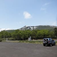 「山菜ハンター2025」vol.8