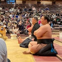実はお相撲が好き❤️