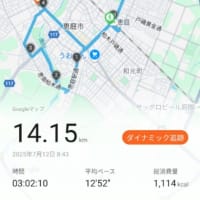JRヘルシーウォーキング肌寒い恵庭を歩く