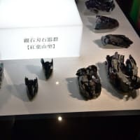 豊かな暮らし？　白滝旧石器遺跡