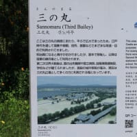 薫風の大濠公園：福岡市中央区
