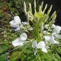とても大切で貴重な時間