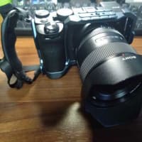 中古で十分・・・・・・・・。(笑)