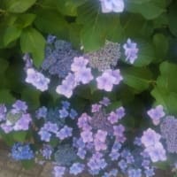 ⭐️笑顔であふれるように