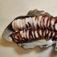 那珂湊、大洗沖　タコ釣行記２ 悪夢の釣行！！！
